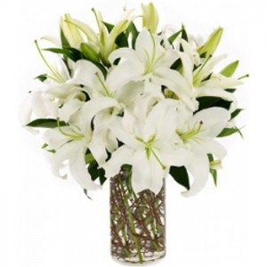 6 White Lilies in a Vase