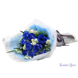 Dozen Blue Ecuadorian Roses