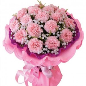 50 Pieces Pink Carnation