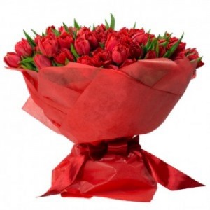 romantic 100 red tulips